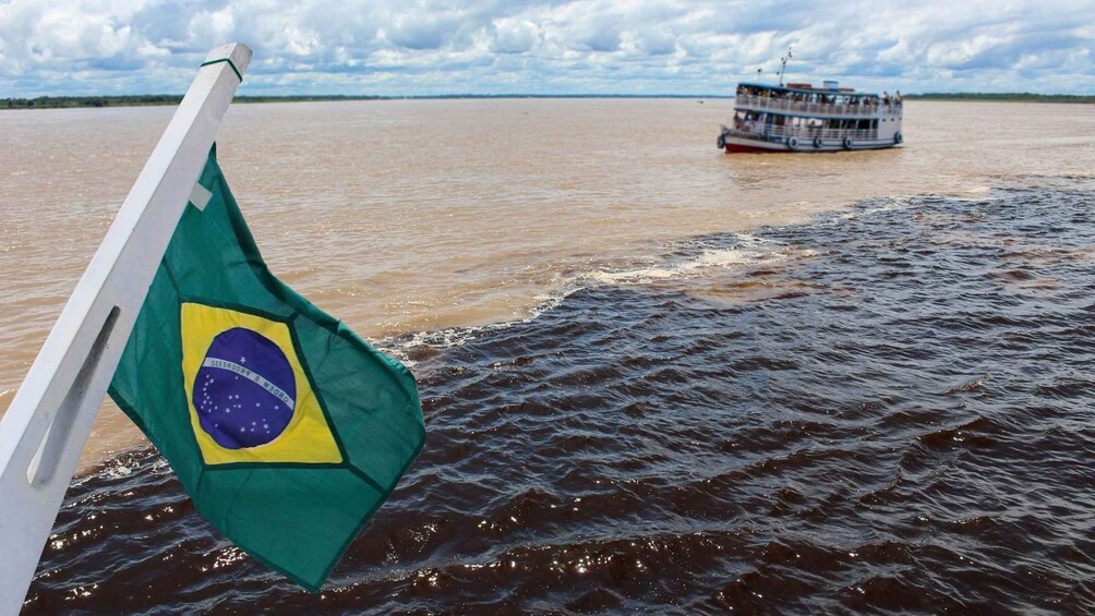 Manaus Speedboat Tour: Transfer, Meeting of the Waters, Dolphins & Lunch 1