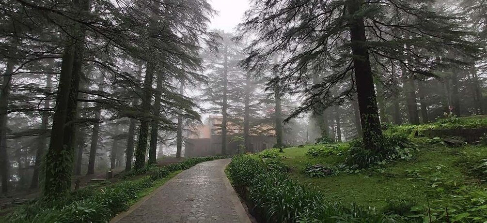 Dharamshala: McLeod Ganj, Monasteries & Scenic Views Tour 1