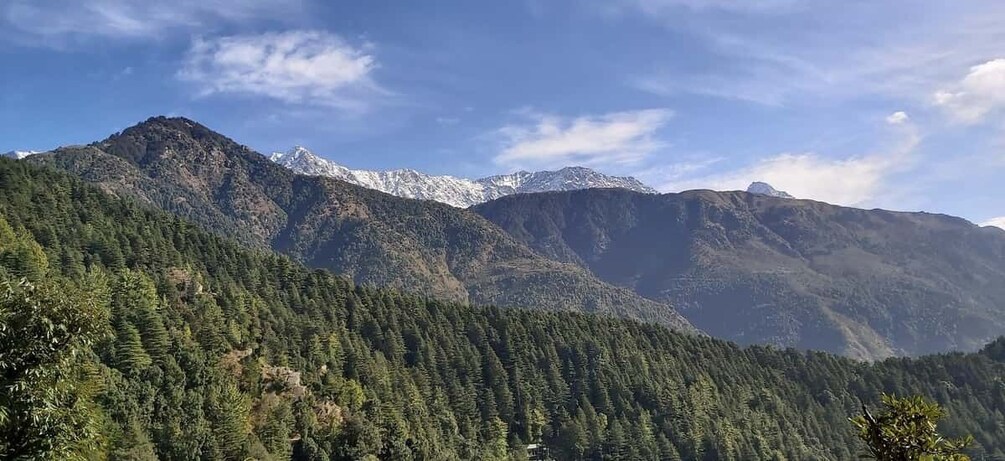 Picture 3 for Activity Dharamshala: McLeod Ganj, Monasteries & Scenic Views Tour 2