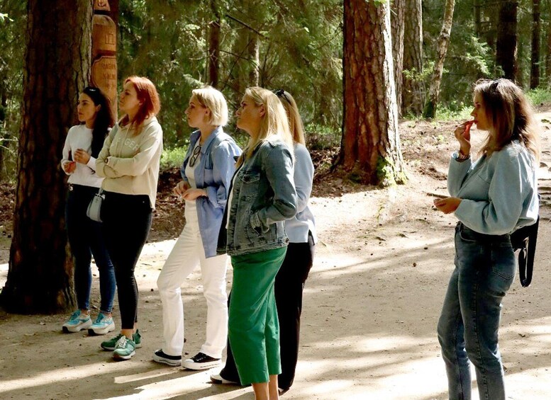 Picture 3 for Activity Group Tour for Cruise Passengers: Curonian Spit & Klaipeda 2