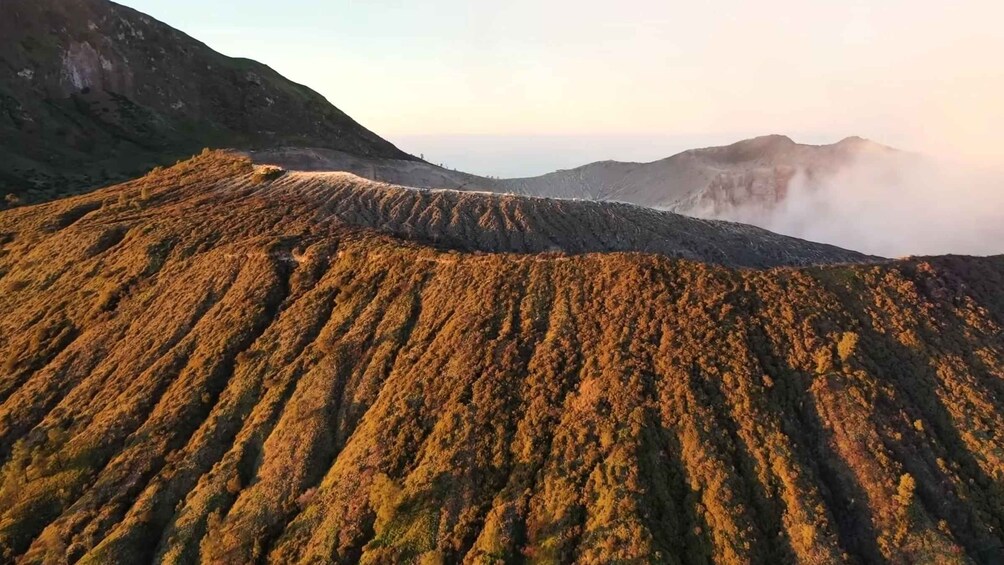 Picture 7 for Activity Bali: Ijen Blue Fire, Bromo, Tumpaksewu, Yogyakarta transfer 2