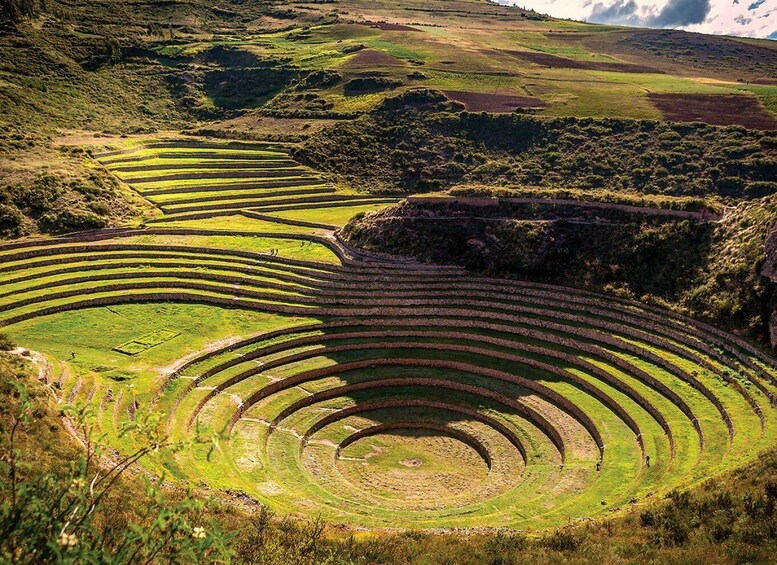Terraced fields in a hilly landscape. 1