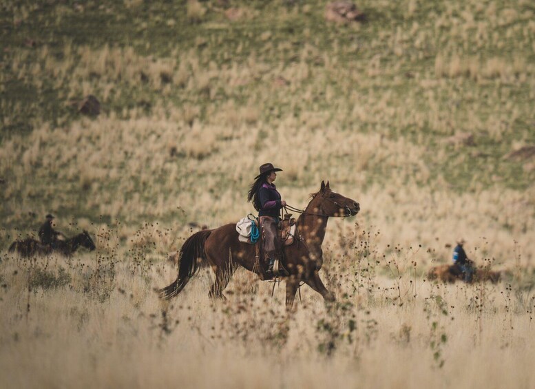 Picture 2 for Activity Ngawaro: Scenic Cattle Station Horse Trail Ride 5