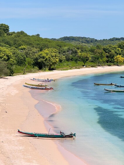 Picture 1 for Activity Lombok : Pink Beach and Gili Islands Private Snorkeling Tour 4
