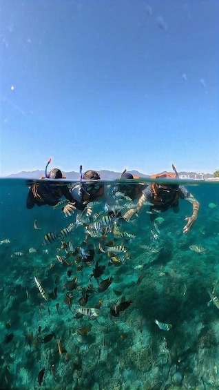 Picture 3 for Activity Lombok : Pink Beach and Gili Islands Private Snorkeling Tour 2