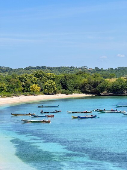 Picture 9 for Activity Lombok : Pink Beach and Gili Islands Private Snorkeling Tour 2