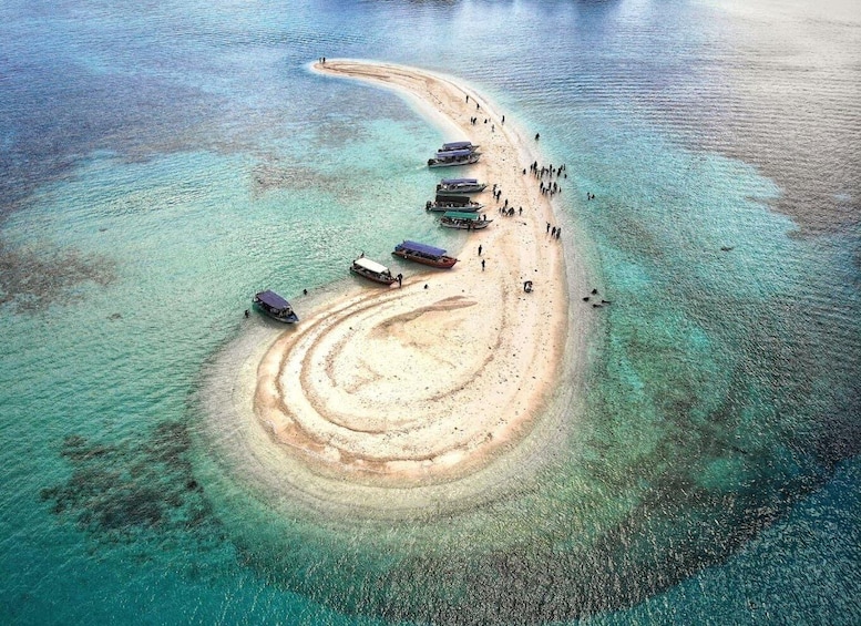 Lombok : Pink Beach and Gili Islands Private Snorkeling Tour 1