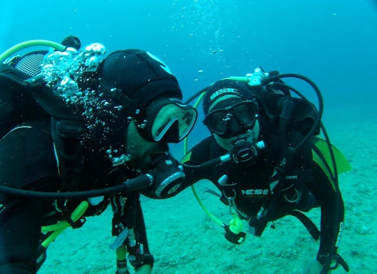 Picture 3 for Activity Syracuse: Wonderful guided scuba diving at Plemmirio with an instructor 3