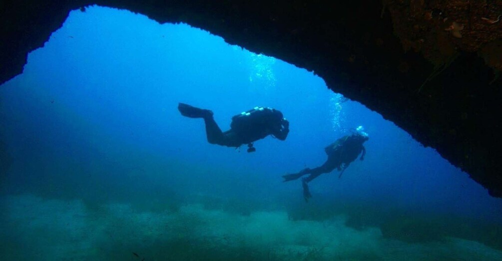 Picture 1 for Activity Syracuse: Wonderful guided scuba diving at Plemmirio with an instructor 2