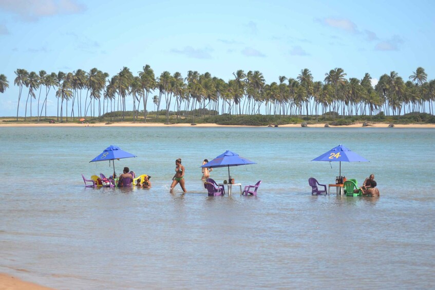 Picture 18 for Activity Salvador's North Coast: Beach Hopping Tour to Praia do Forte 2