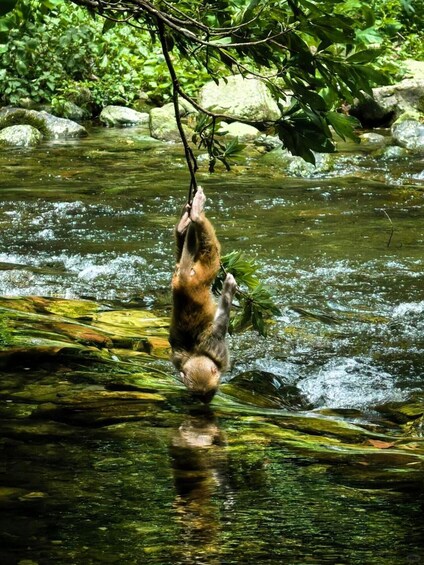 Picture 9 for Activity Zhangjiajie 2-Day Beat the Heat Tour + Rafting & Furong Town 3