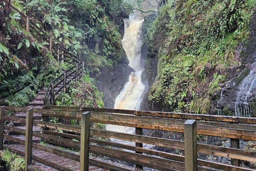 A wooden bridge leading to a waterfall surrounded by lush greenery. 3
