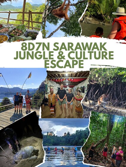 Picture 1 for Activity Sarawak: 8-Day Rainforest, Culture, and Wildlife Tour 3
