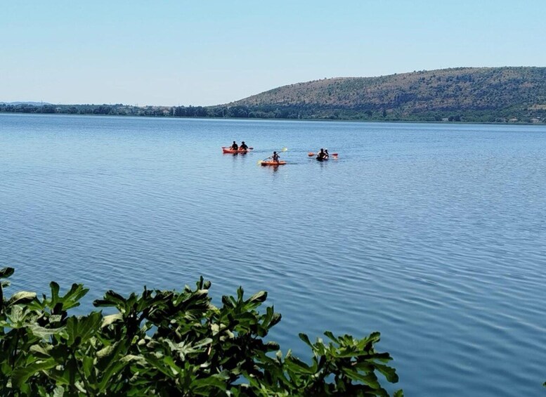 Picture 2 for Activity Kastoria: Lake Kayaking Tour with Guide 3