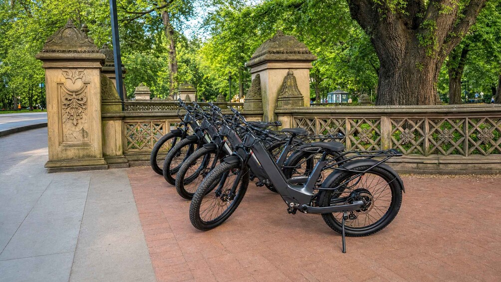 Picture 2 for Activity NYC: Central Park E-Bike/Bike Tour with Guide 4