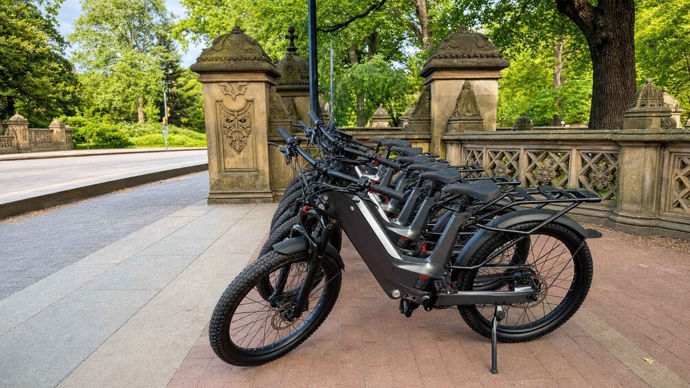 Picture 6 for Activity NYC: Central Park E-Bike/Bike Tour with Guide 3