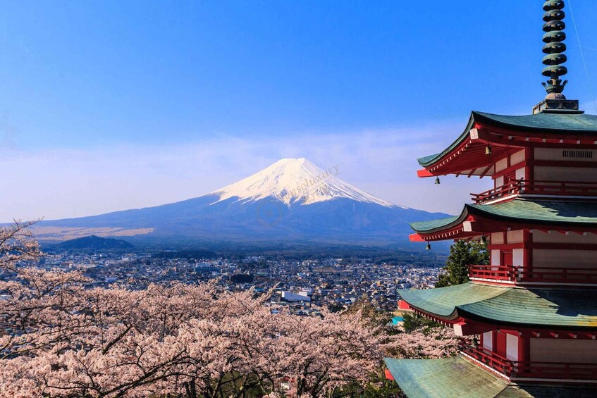 Picture 1 for Activity Lake Yamanaka & Kawaguchi: Sakura Goddess Meets Fuji 3