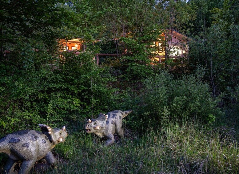 A house surrounded by dense forest with two dinosaur statues in the foreground. 4