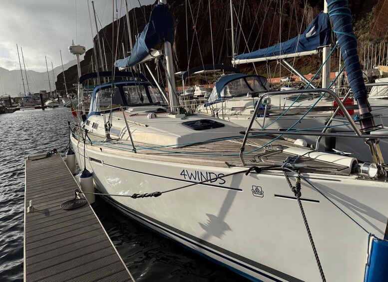Picture 11 for Activity Sea & Chill in Madeira: Private Sailing Adventure 4