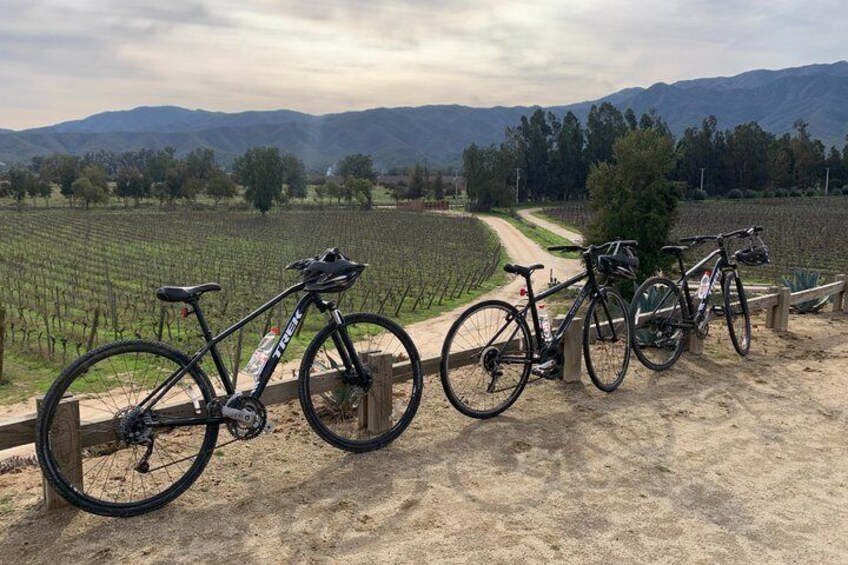 Casablanca Bike and Wine Full Day 1