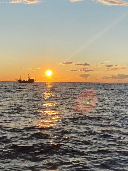 Picture 5 for Activity Sunset Dolphin Cruise from Poreč — Private Speedboat, Max 8 1