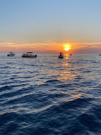 Picture 8 for Activity Sunset Dolphin Cruise from Poreč — Private Speedboat, Max 8 3