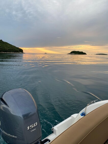Picture 4 for Activity Sunset Dolphin Cruise from Poreč — Private Speedboat, Max 8 2