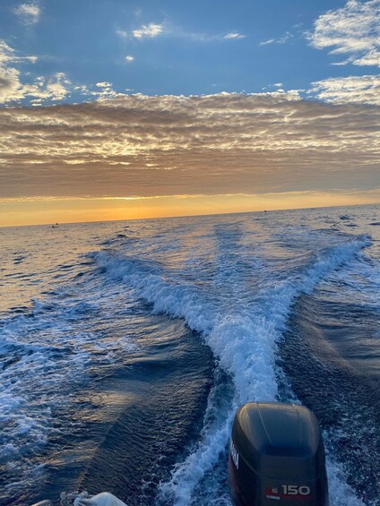 Picture 6 for Activity Sunset Dolphin Cruise from Poreč — Private Speedboat, Max 8 5