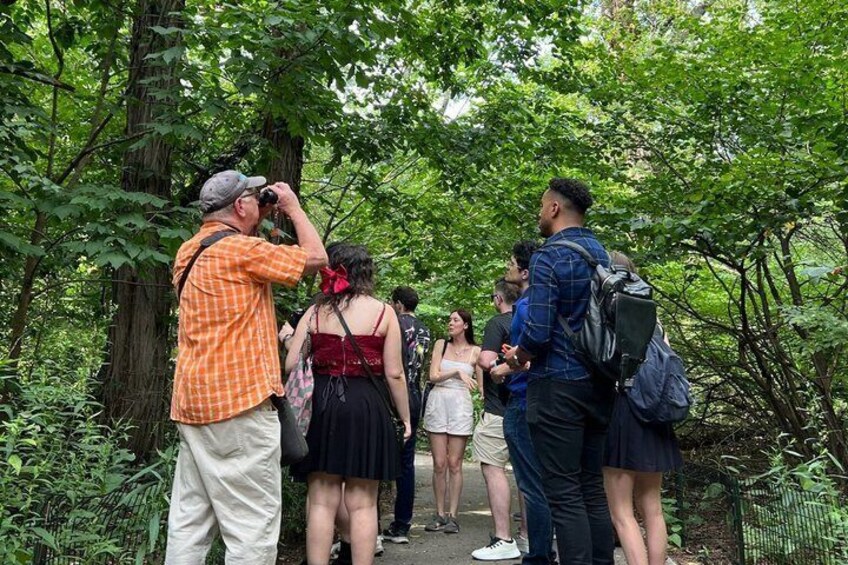 Prospect Park Beginner Birdwatching Tour 1