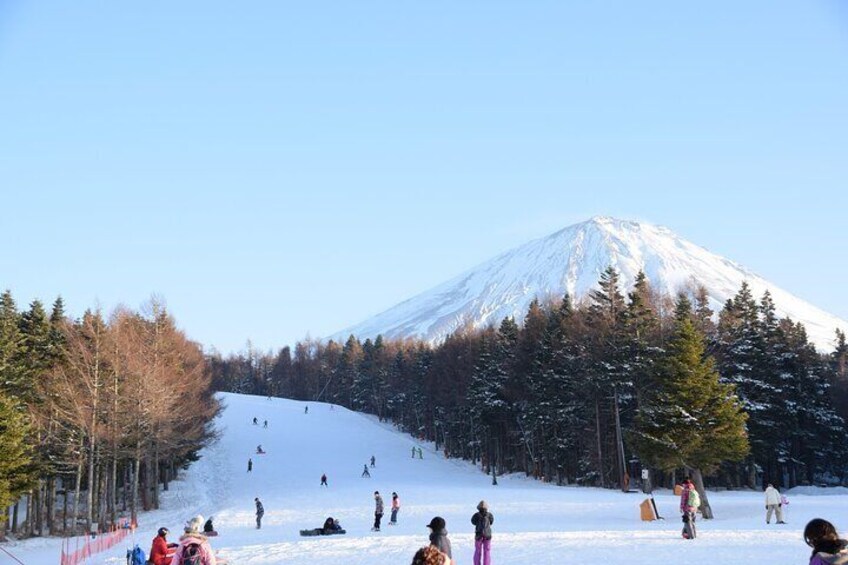 Mt Fuji Ski Resort Tour from Tokyo by Private Vehicle 1