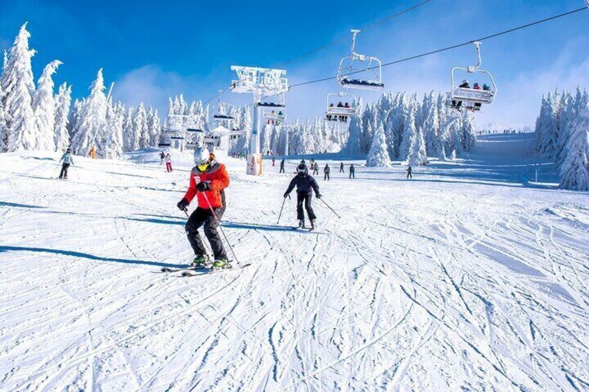 Mt Fuji Ski Resort Tour from Tokyo by Private Vehicle 4