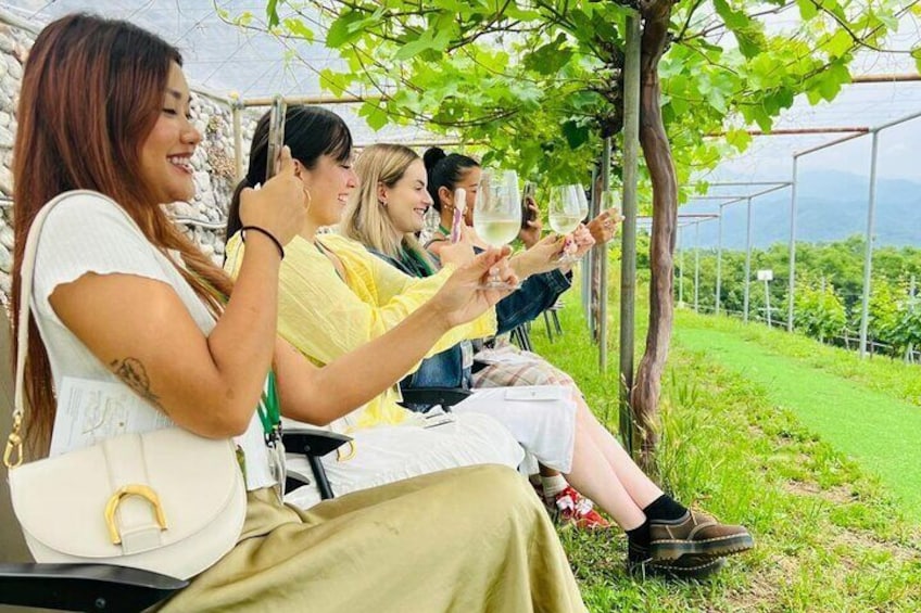 Private Wine Tasting Tour in Yamanashi Prefecture by Car 1