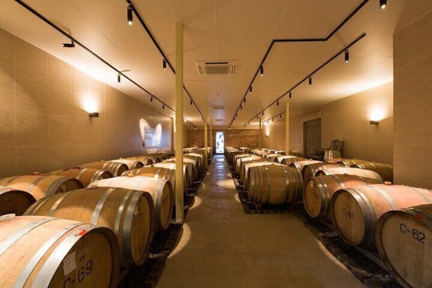 Private Wine Tasting Tour in Yamanashi Prefecture by Car 4