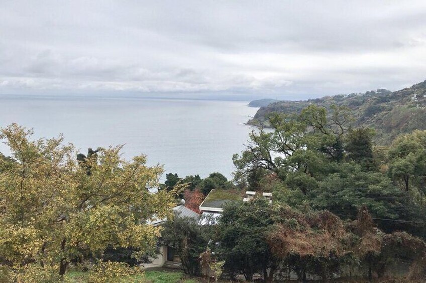 Full-Day Enoura Observatory and Hakone Hot Spring Private Tour 2