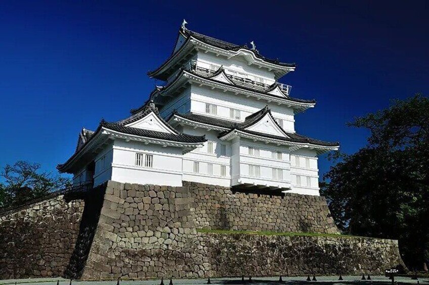 Full-Day Enoura Observatory and Hakone Hot Spring Private Tour 4