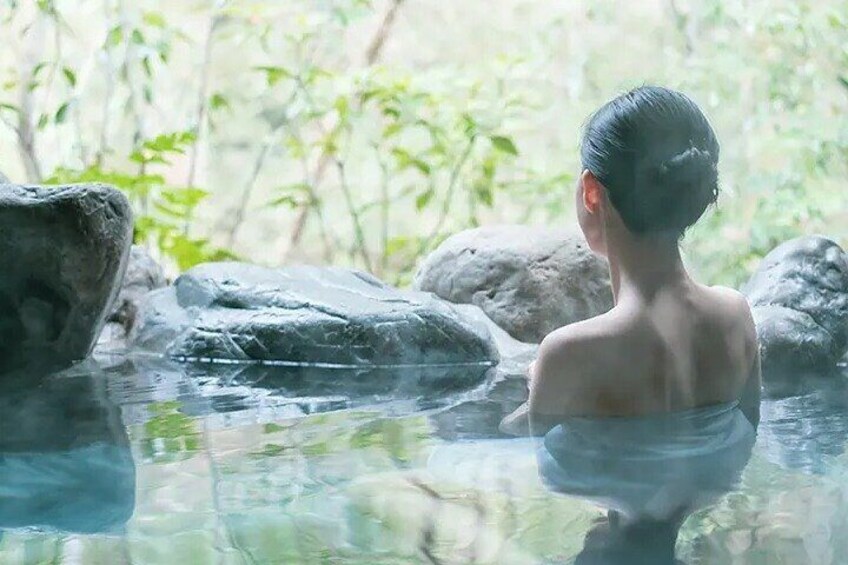 Full-Day Enoura Observatory and Hakone Hot Spring Private Tour 1