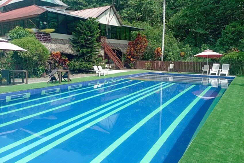 A swimming pool with blue and green lane markings, surrounded by a grassy area, a wooden deck, and a house with a red roof. 1