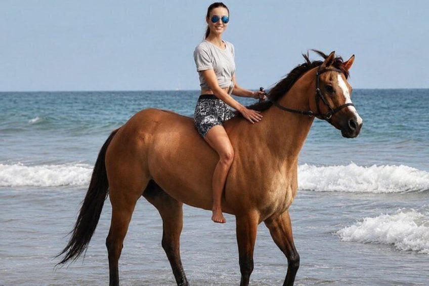 Hurghada Sunset & Morning Horse Riding Experience on Desert&Beach 2