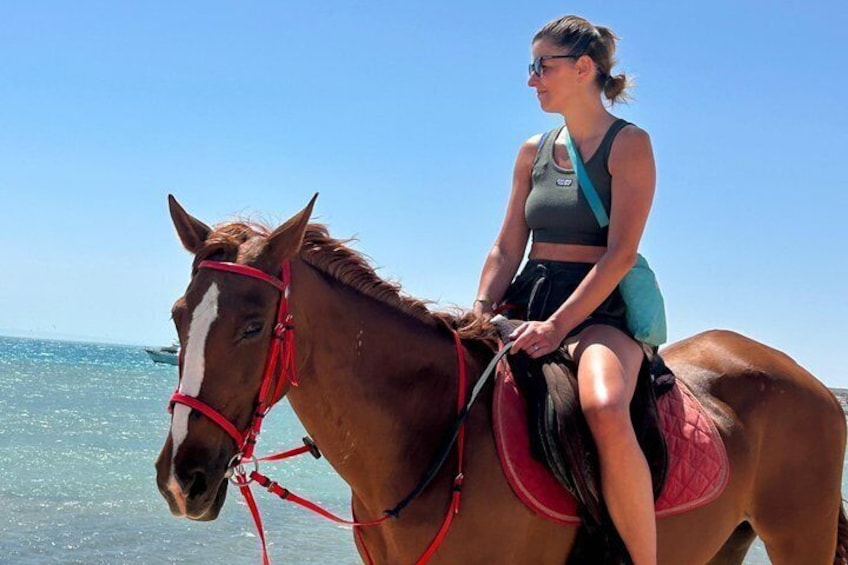 2 Hour Horse Riding Hurghada Desert with Beach Experience 5