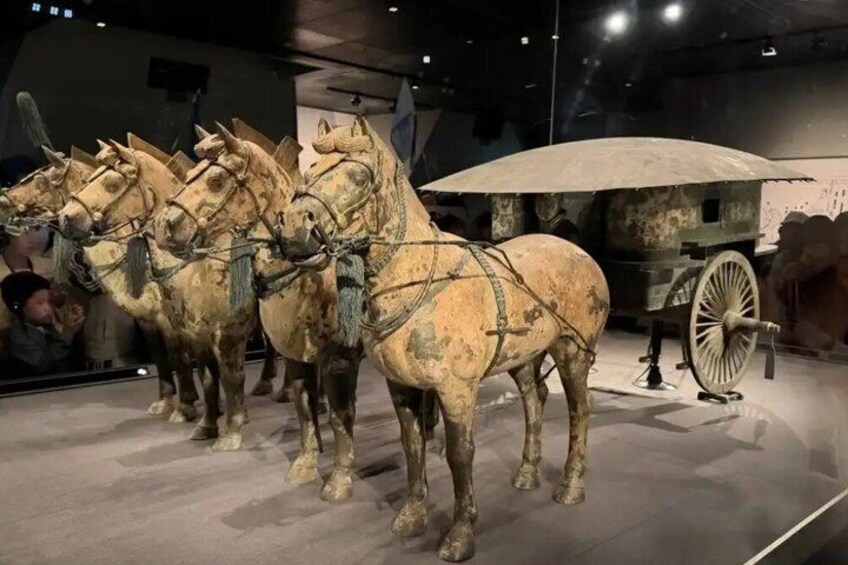 A collection of ancient chariots with horses, displayed in a museum setting. 5