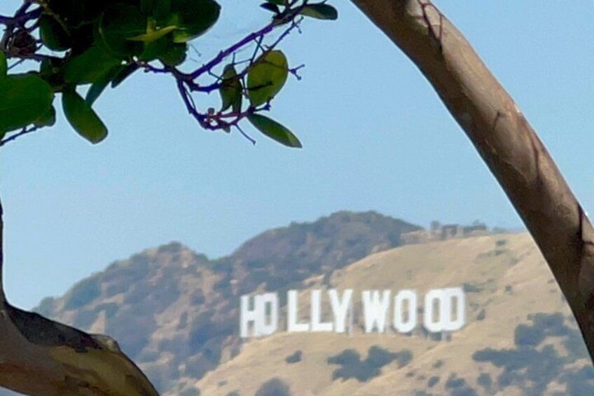 Tour of LA and Hollywood from Carnival Cruise Ship Terminal 4