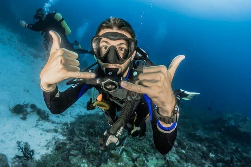 Discover Scuba Diving No Experience or Certification Needed 5
