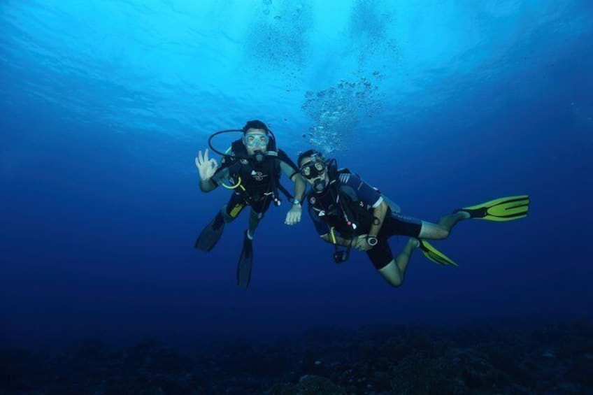 Discover Scuba Diving No Experience or Certification Needed 1