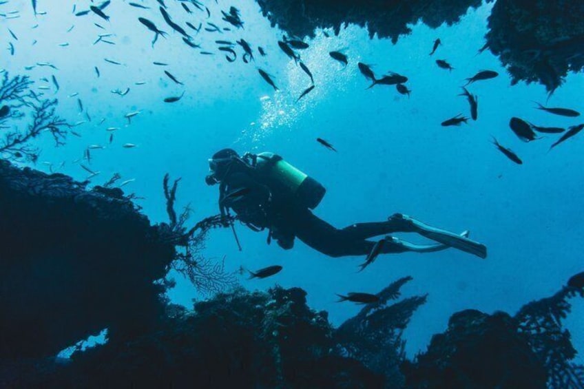 Discover Scuba Diving No Experience or Certification Needed 2