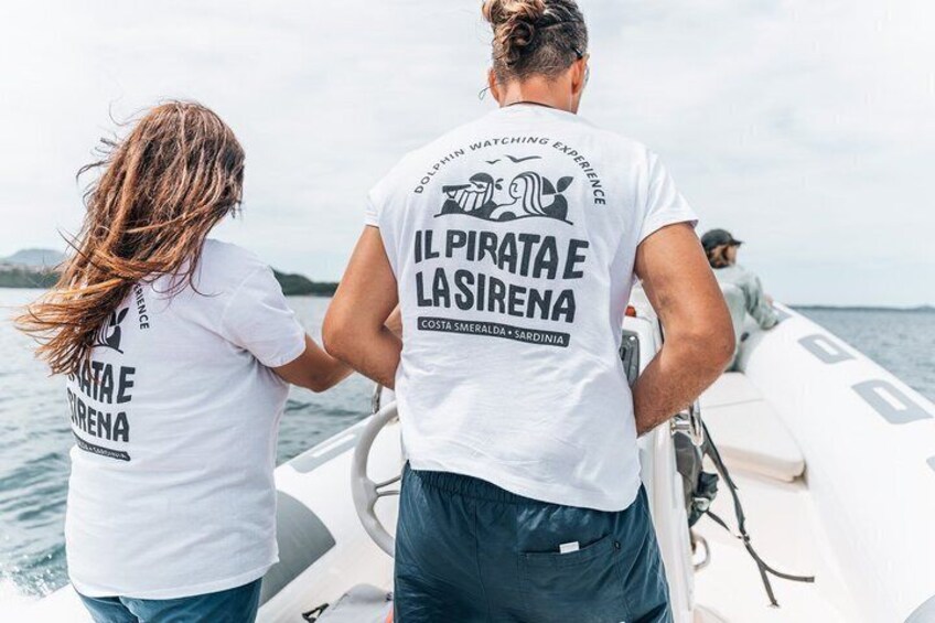 Golfo Aranci Dolphin Watching Tour at Sunset with Biologist 3
