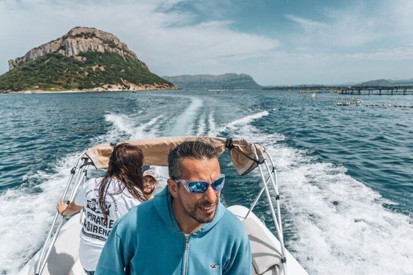 Golfo Aranci Dolphin Watching Tour at Sunset with Biologist 5