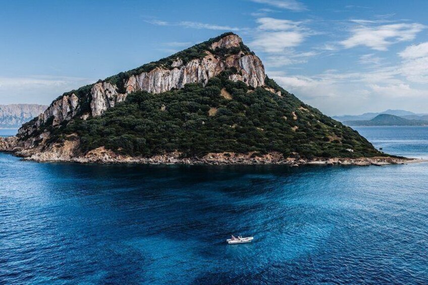 Golfo Aranci Dolphin Watching Tour at Sunset with Biologist 2