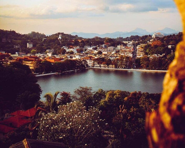 Picture 2 for Activity Full Coverage Kandy City Day Tour 2