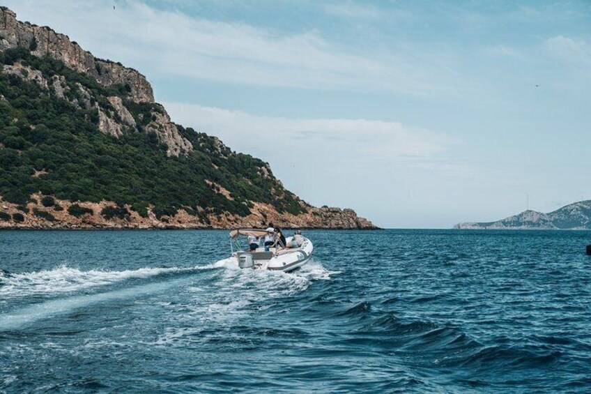 Golfo Aranci Dolphin Watching Tour with Biologist and 2 bath stops 2