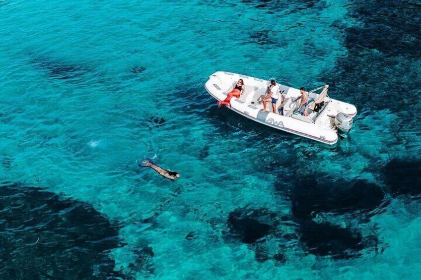 Golfo Aranci Dolphin Watching Tour with Biologist and 2 bath stops 3